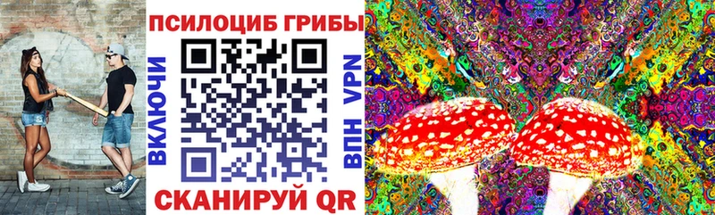 Галлюциногенные грибы мицелий Омутнинск