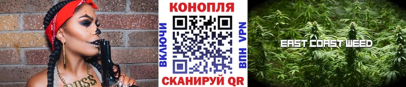 Шишки марихуана сатива  купить  цена  Омутнинск 